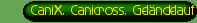 CaniX, Canicross, Gel�ndelauf