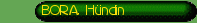 BORA, H�ndin